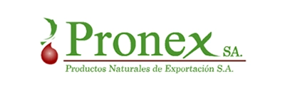 Logo-pronex